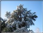 foto Parco Sebellin in Inverno